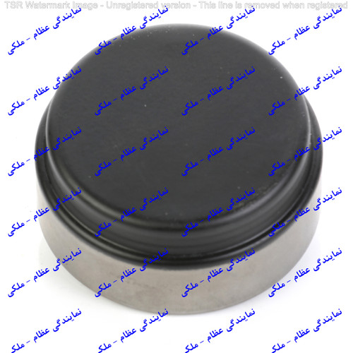 بلبرینگ ژامبون کوچک پژو 405 (DBF68933)