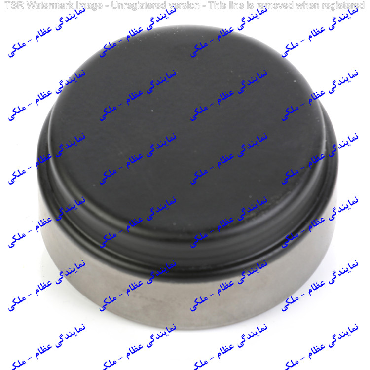 بلبرینگ ژامبون کوچک پژو 405 (DBF68933)