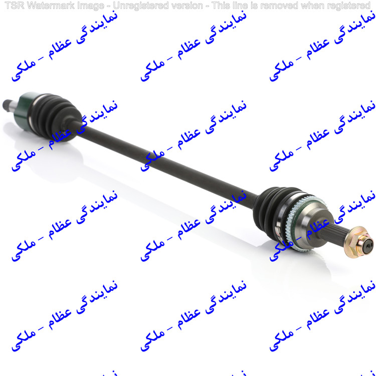 پلوس کامل تیبا کوتاه (چپ)