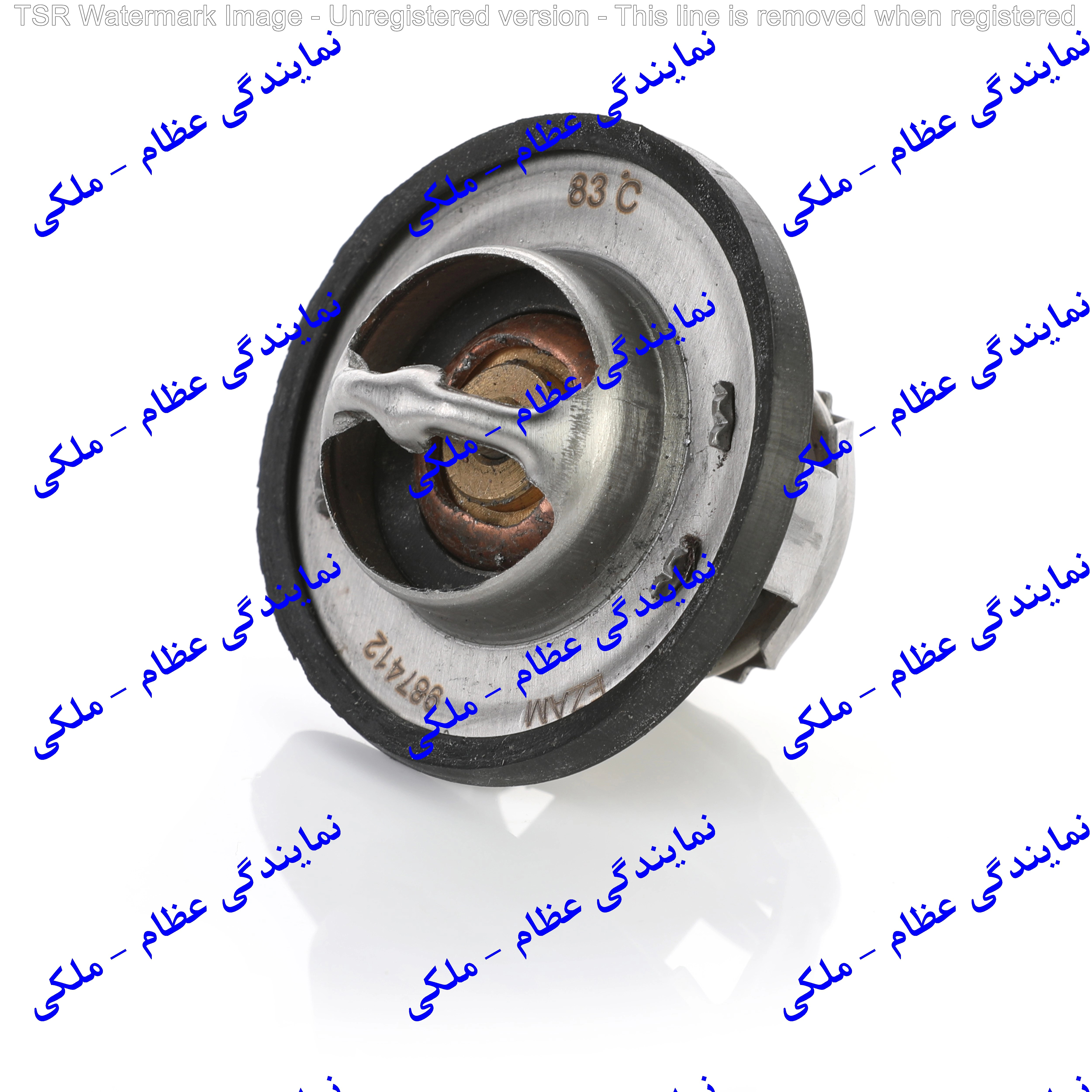 ترموستات L90 ( 83 درجه)