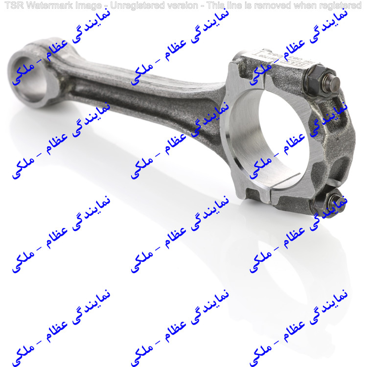 شاتون تیبا عظام / ارسال از تهران