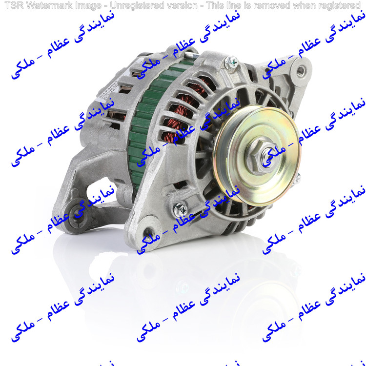 دینام نیسان / ارسال از تهران