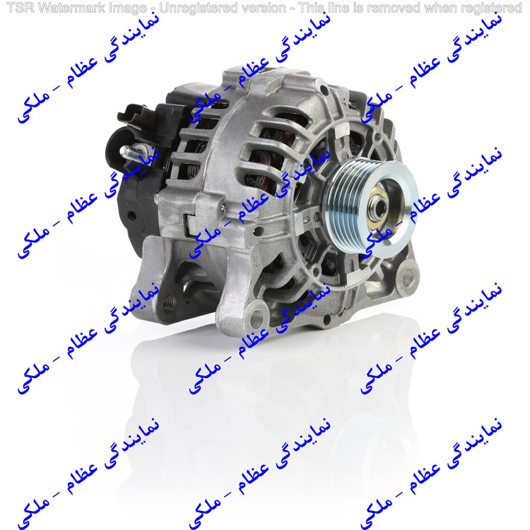 دینام دنا / ارسال از تهران