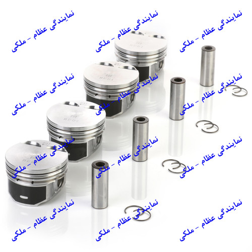 پیستون EF7-025 با خار وگژ پین عظام