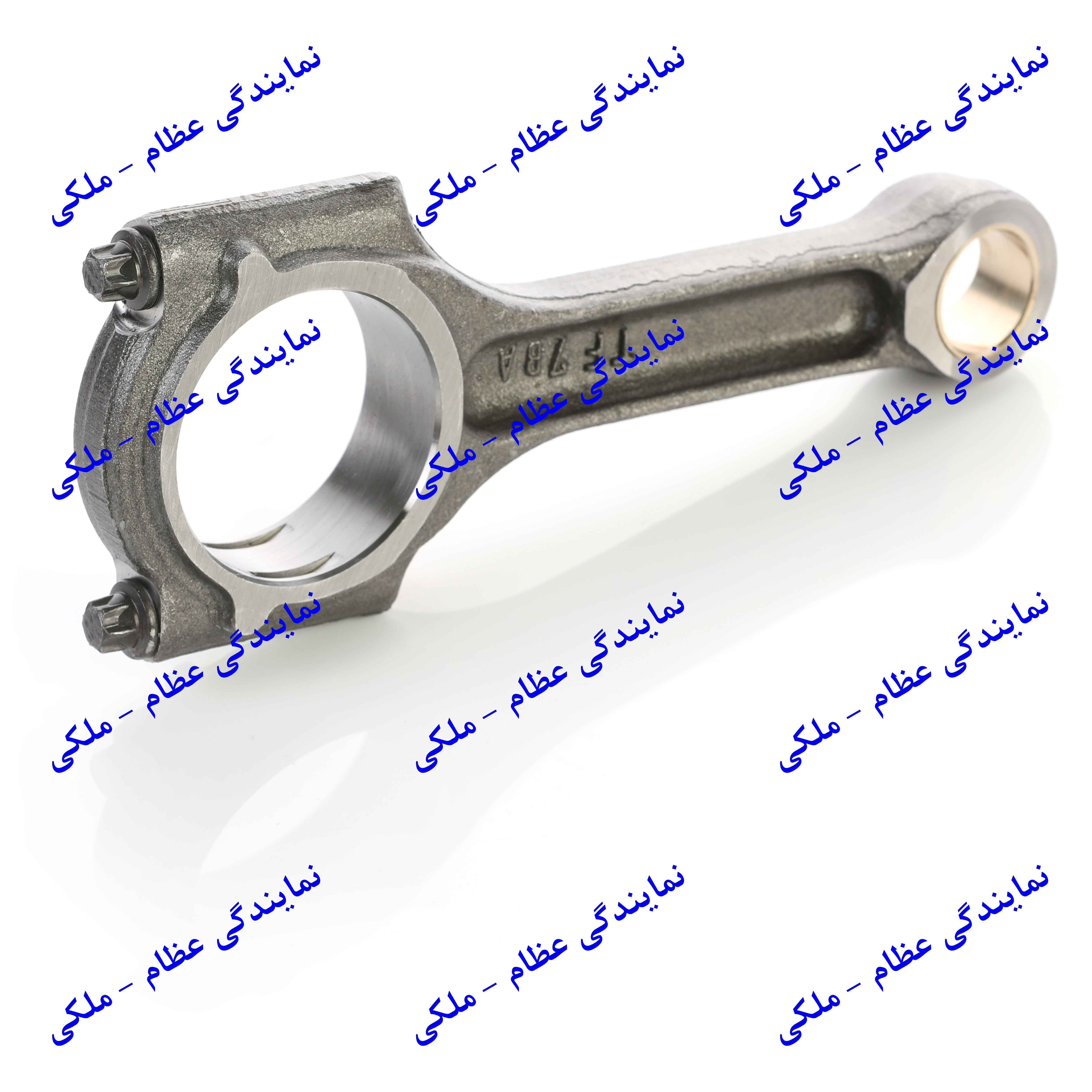 شاتون EF7 تکی عظام