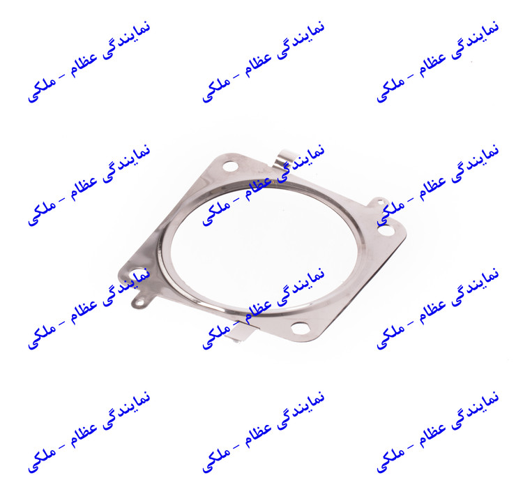 واشر کاتالیزور 206 عظام