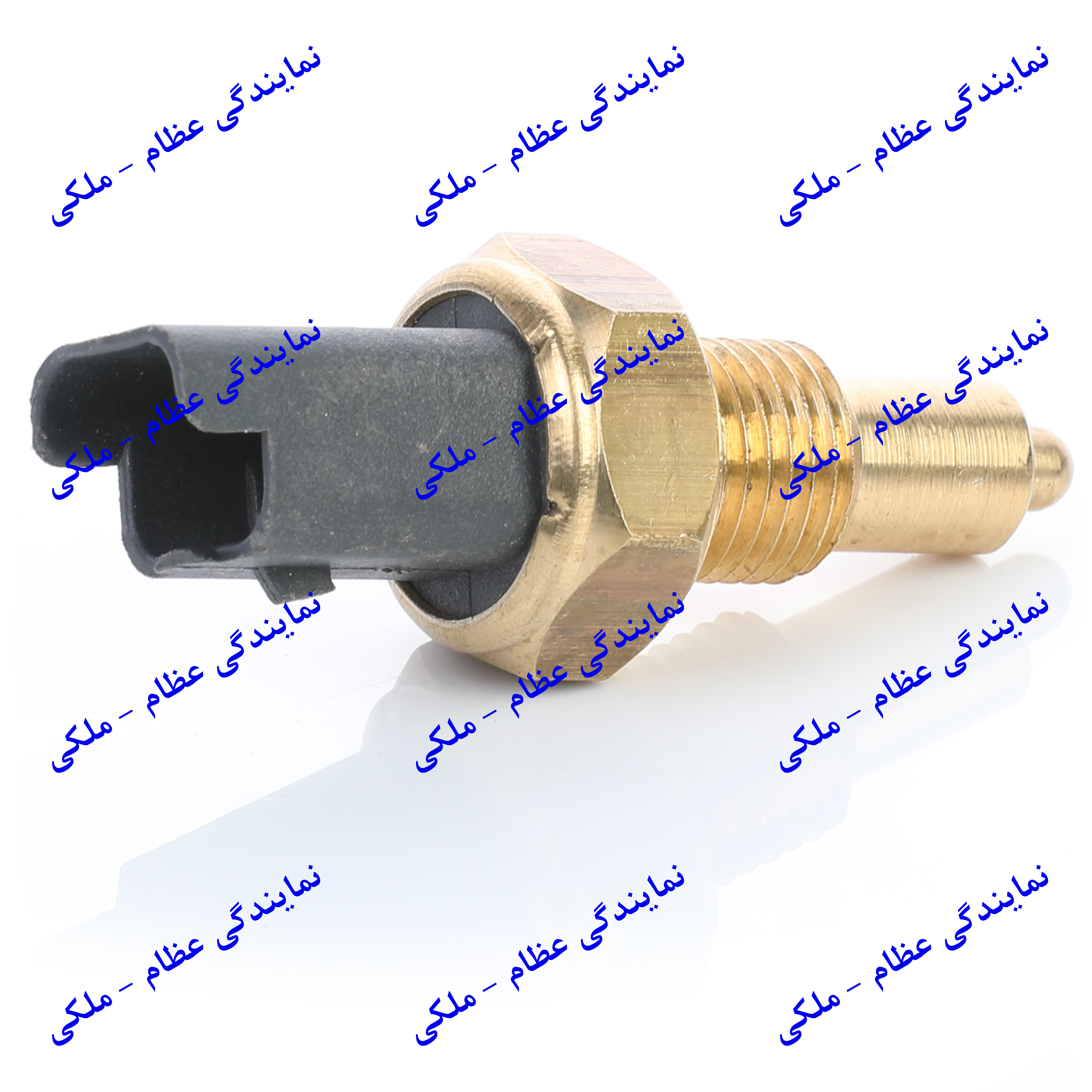 مهره دنده عقب 206 عظام