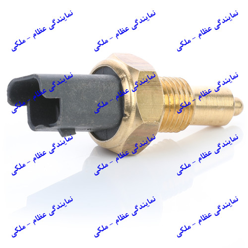 مهره دنده عقب 206 عظام