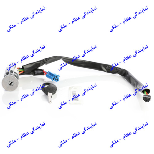 سوئیچ استارت 206 عظام