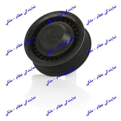 هرزگرد شیاردار سمند خودرو ملی عظام