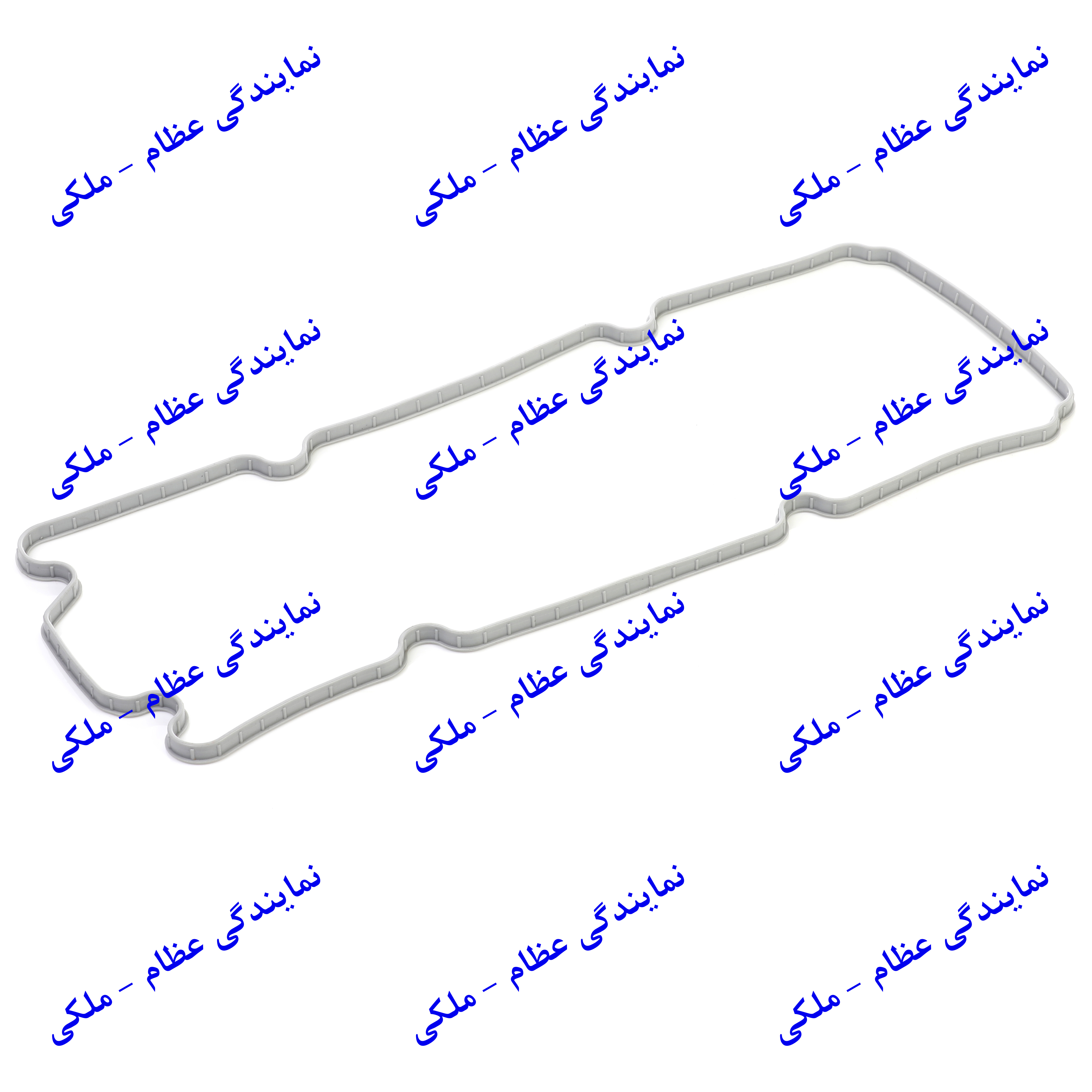 واشر درب سوپاپ تیبا عظام