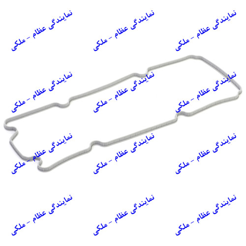 واشر درب سوپاپ تیبا عظام