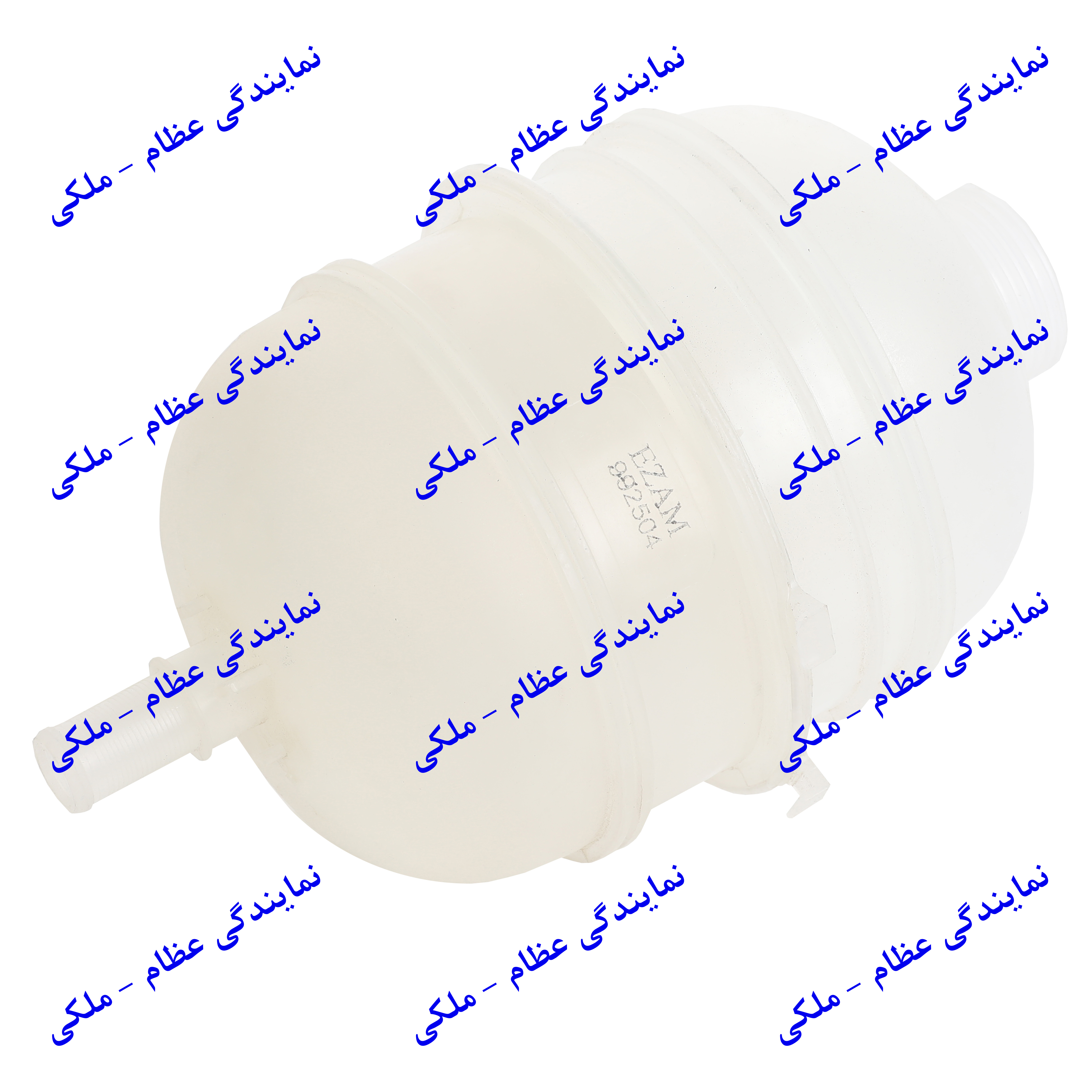 منبع انبساط 206 عظام عظام