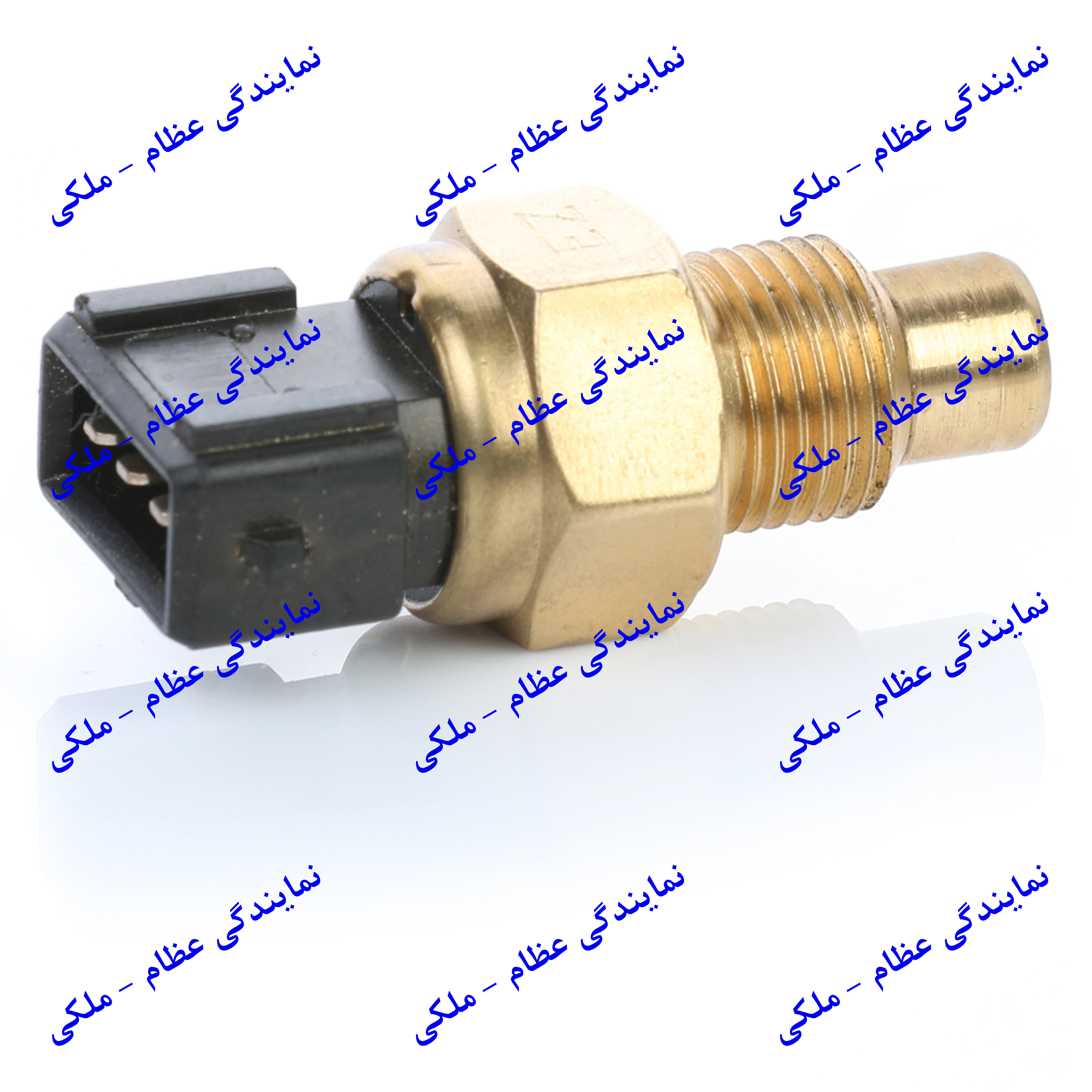 فشنگي آب EF7 سرمشکي 3 فيش  عظام