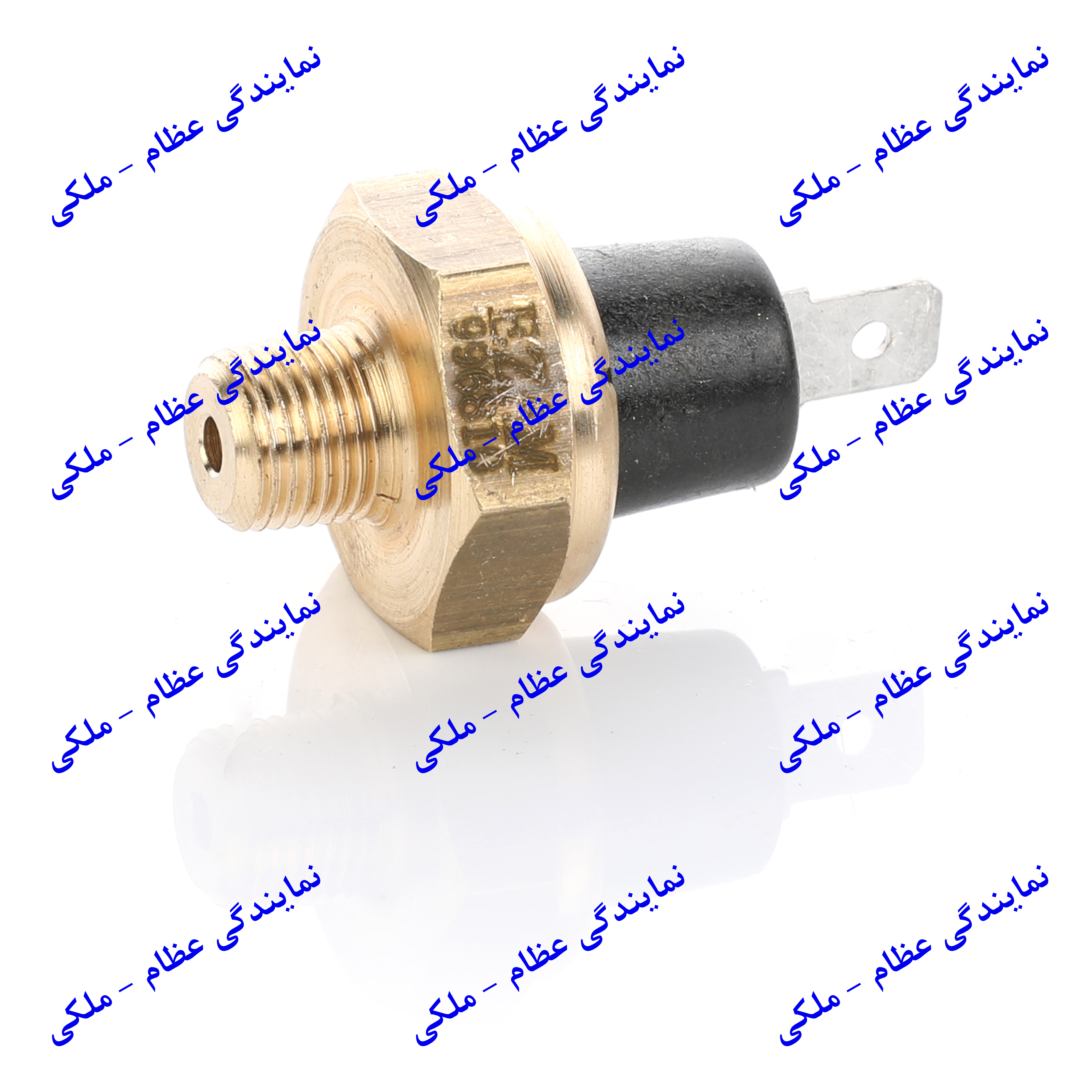 فشنگی روغن RD عظام