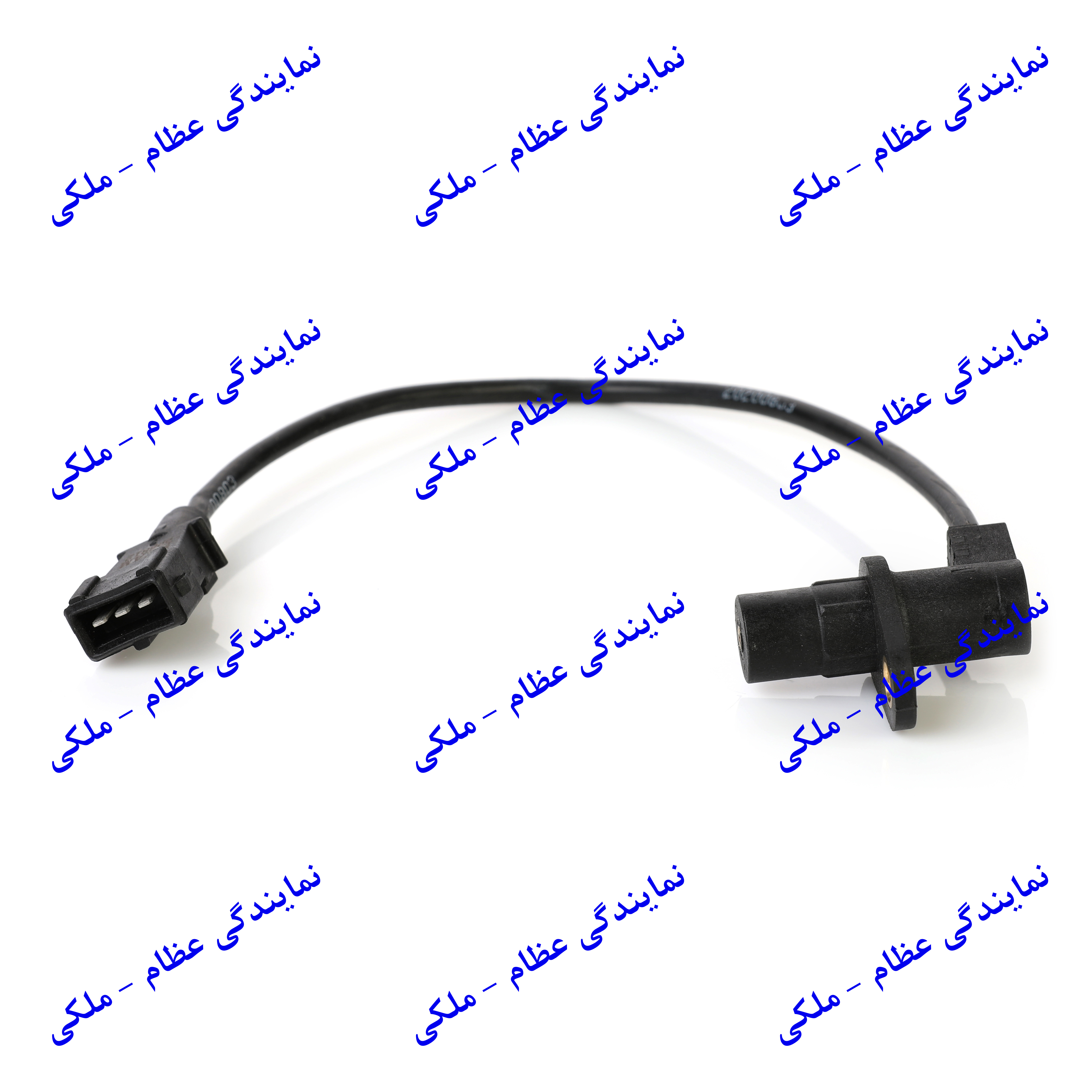 فشنگی روغن 2 فیش پیکان عظام