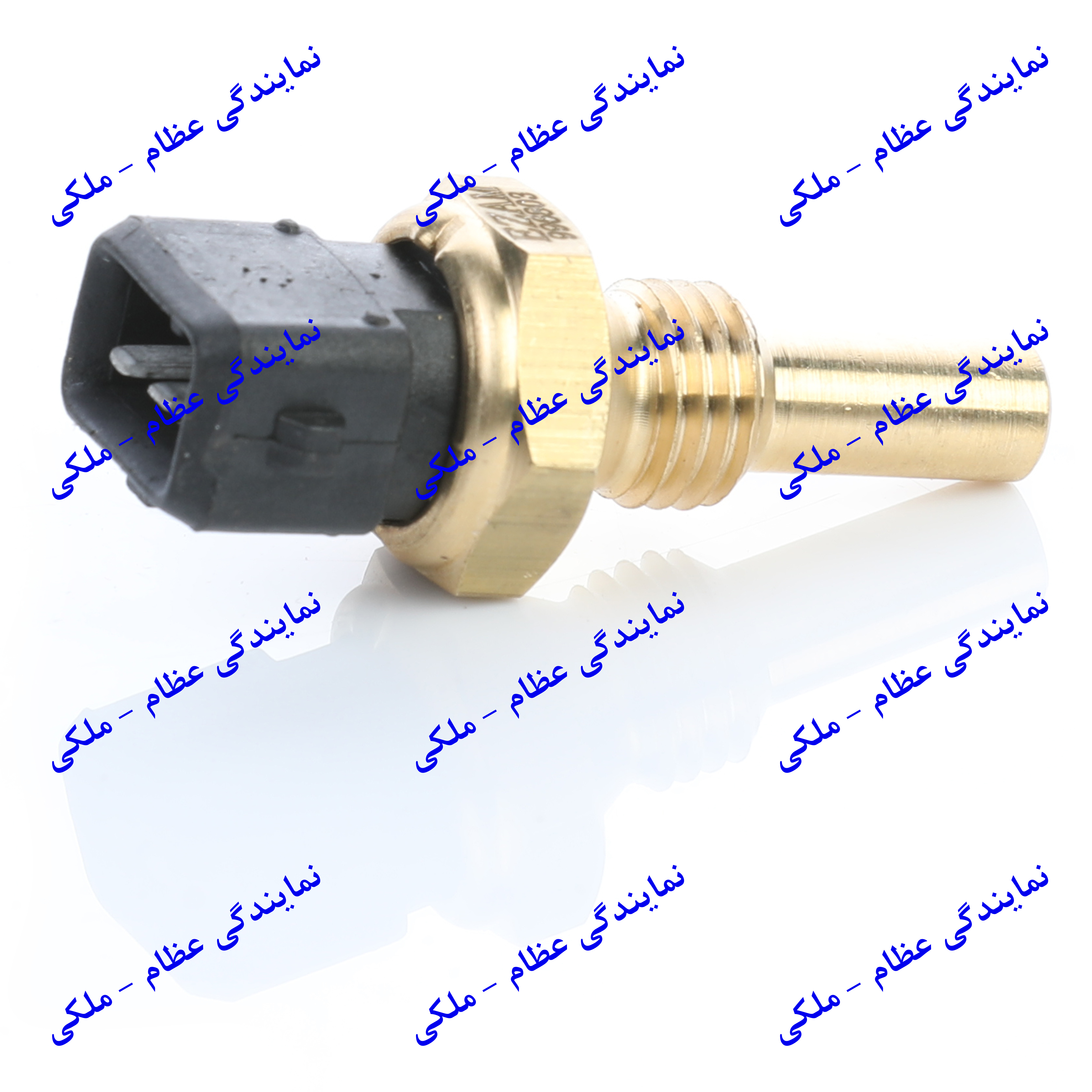 فشنگی درجه آب پراید (مشکی) - زیمنس عظام