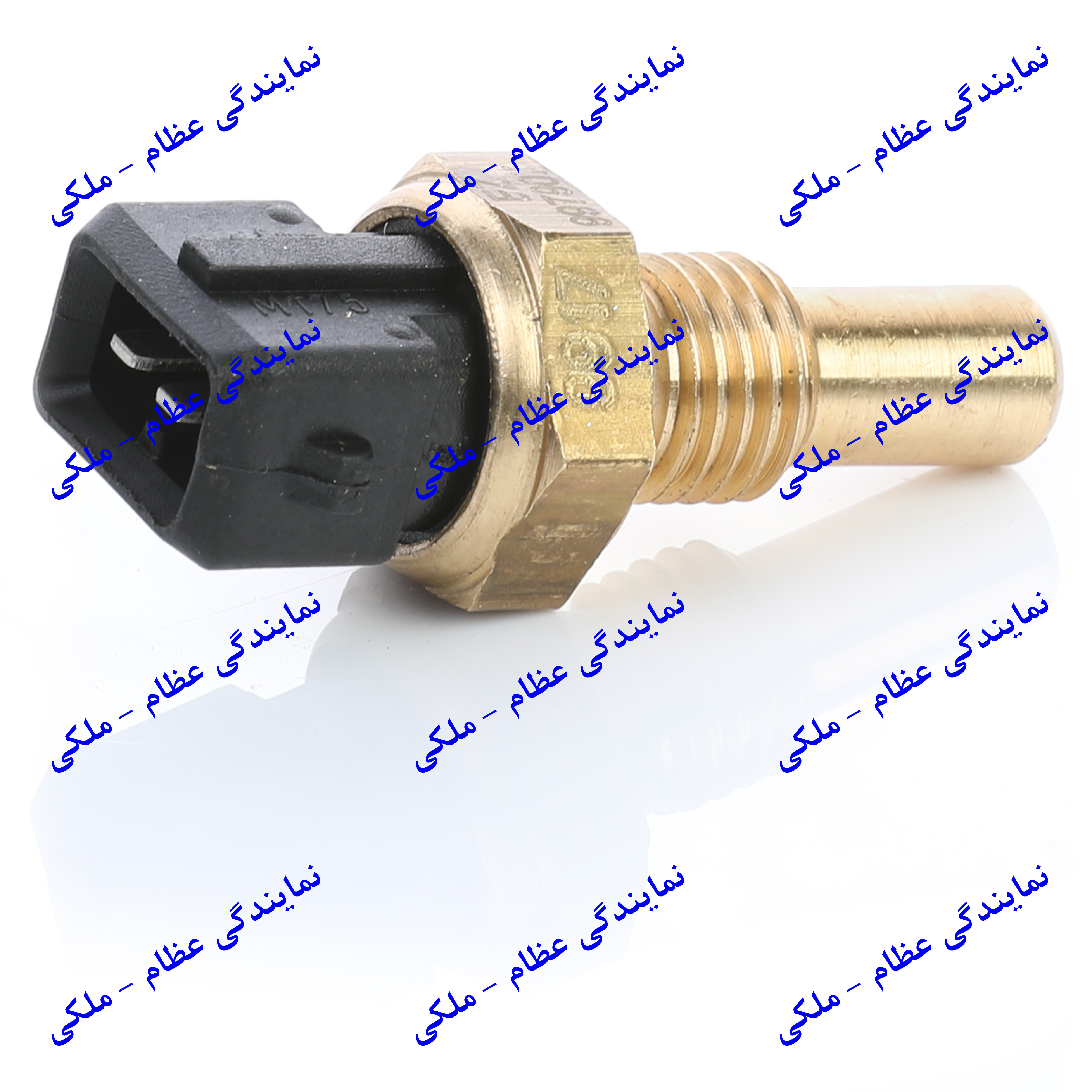 فشنگی درجه اب دوفیش مشکی 405  عظام