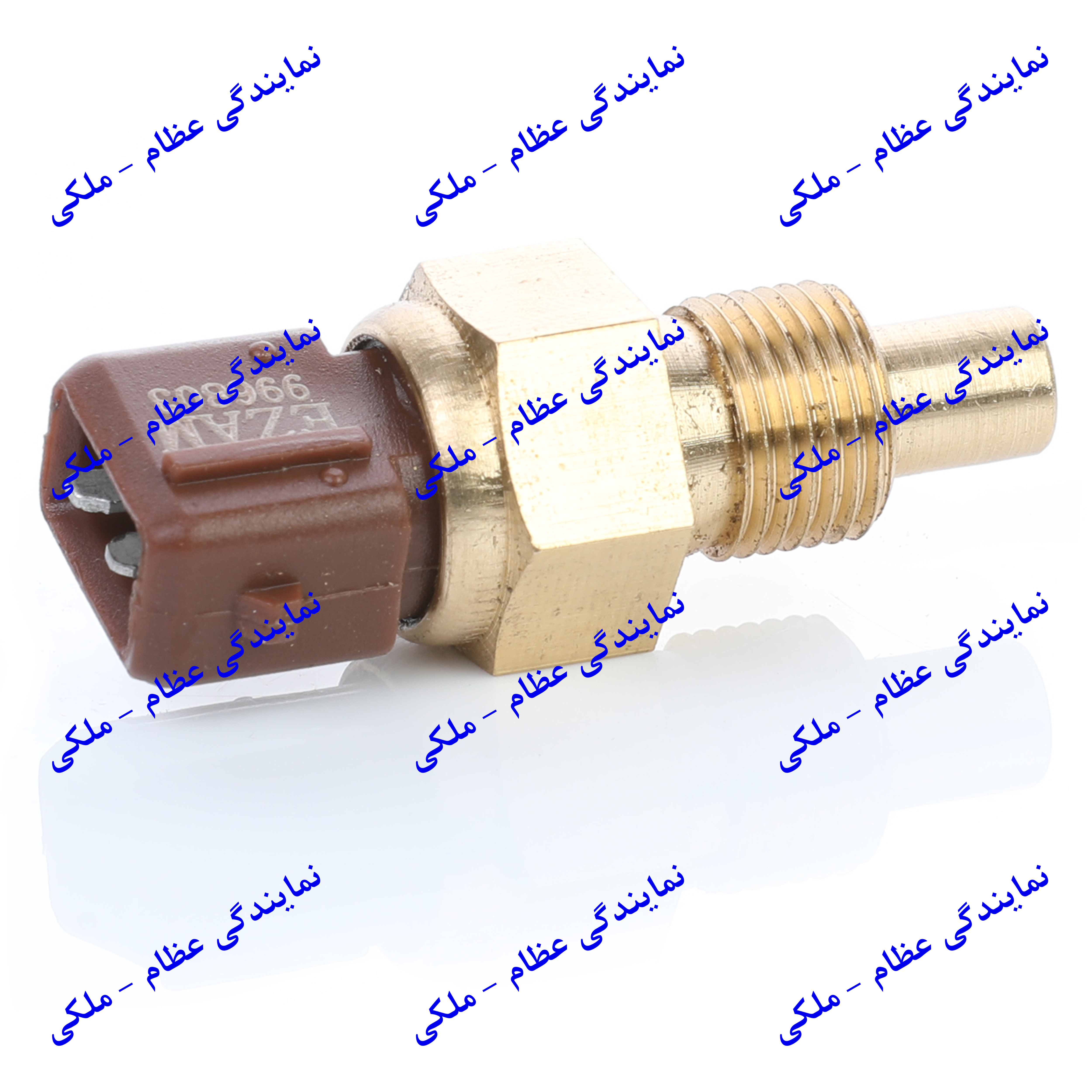 فشنگی آب دو فیش قهوه ای پژو 405 عظام
