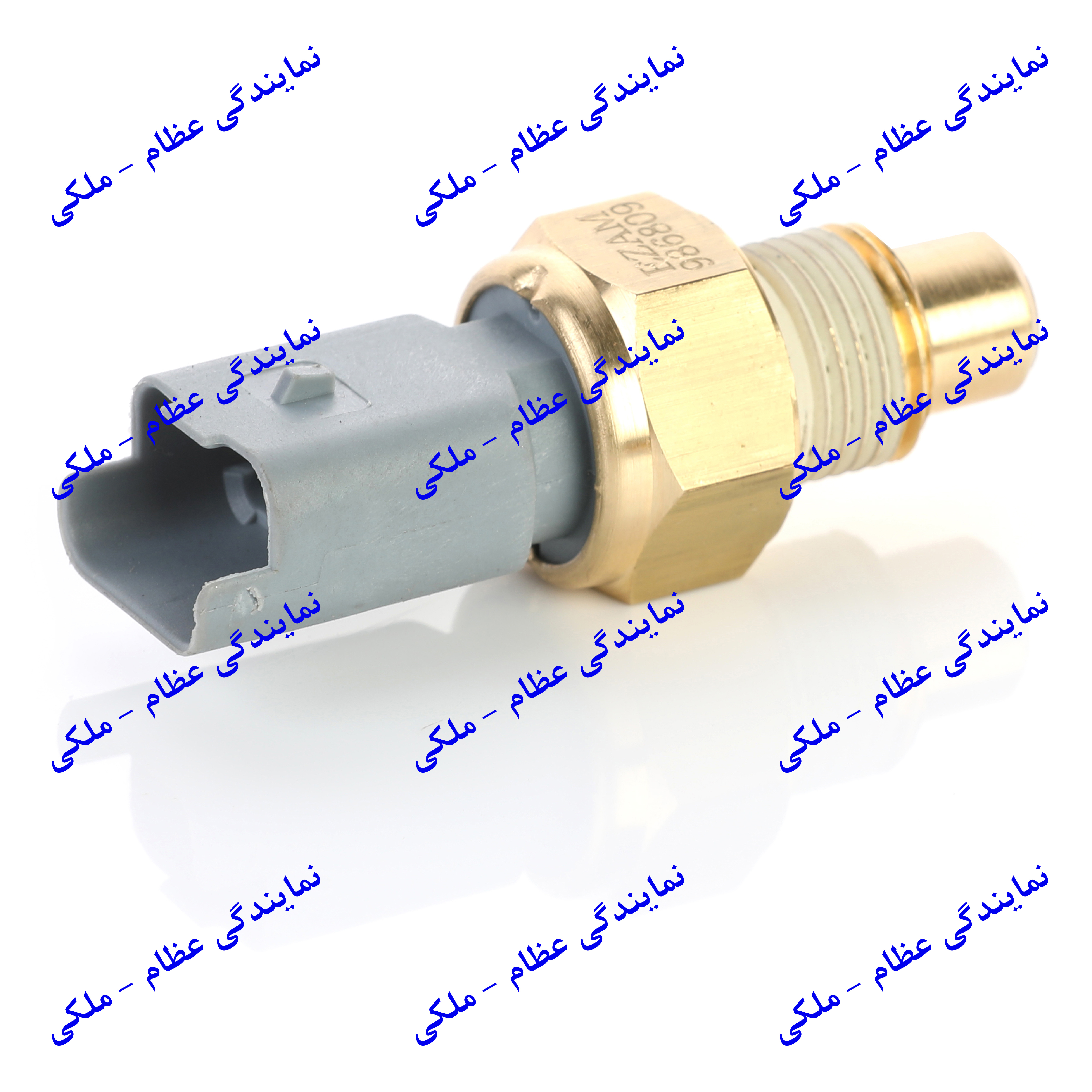 فشنگی آب EF7 سر طوسی عظام