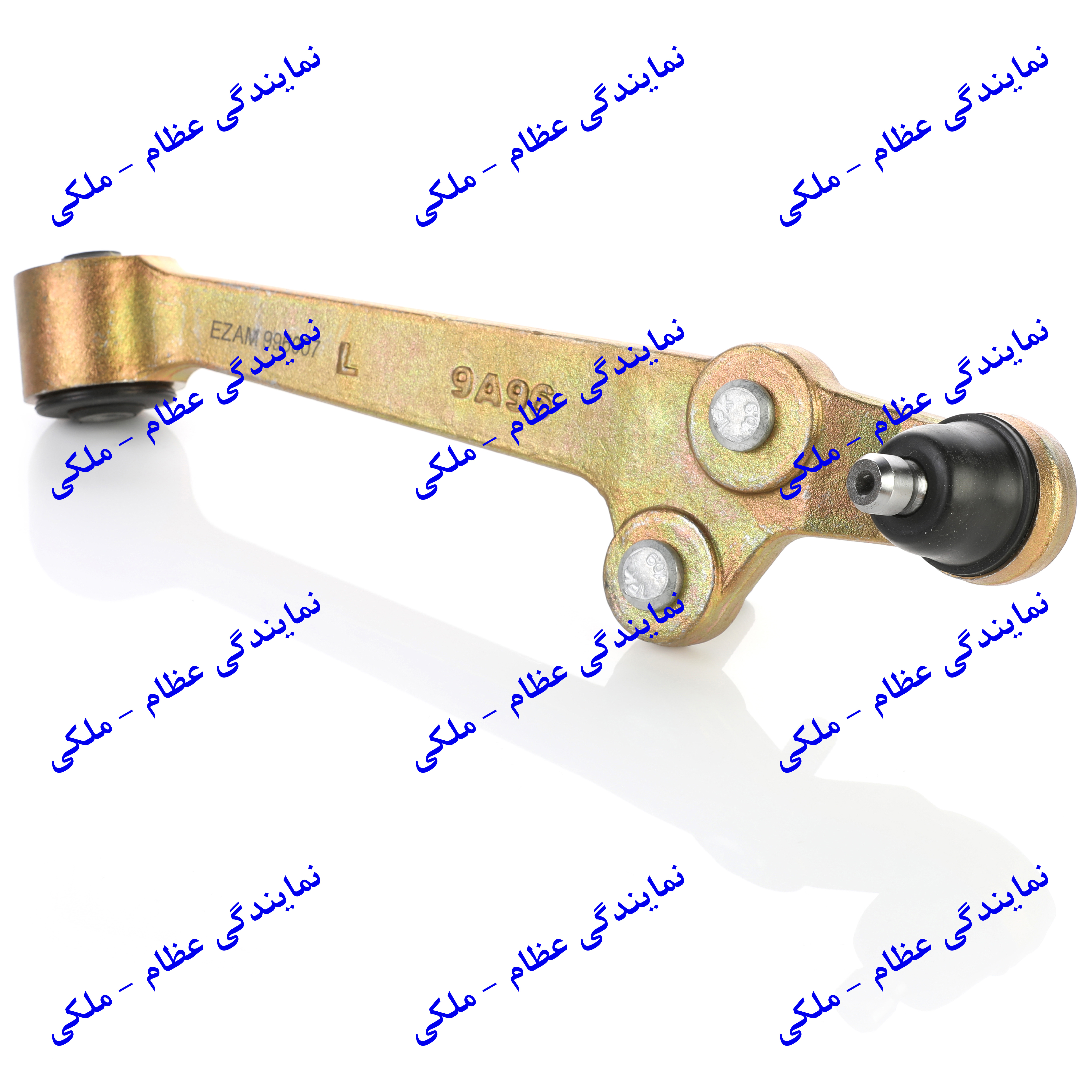 طبق چپ تیبا (ریو )  عظام