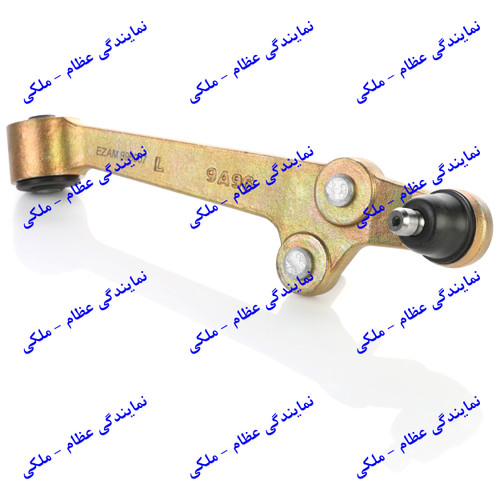 طبق چپ تیبا (ریو ) عظام
