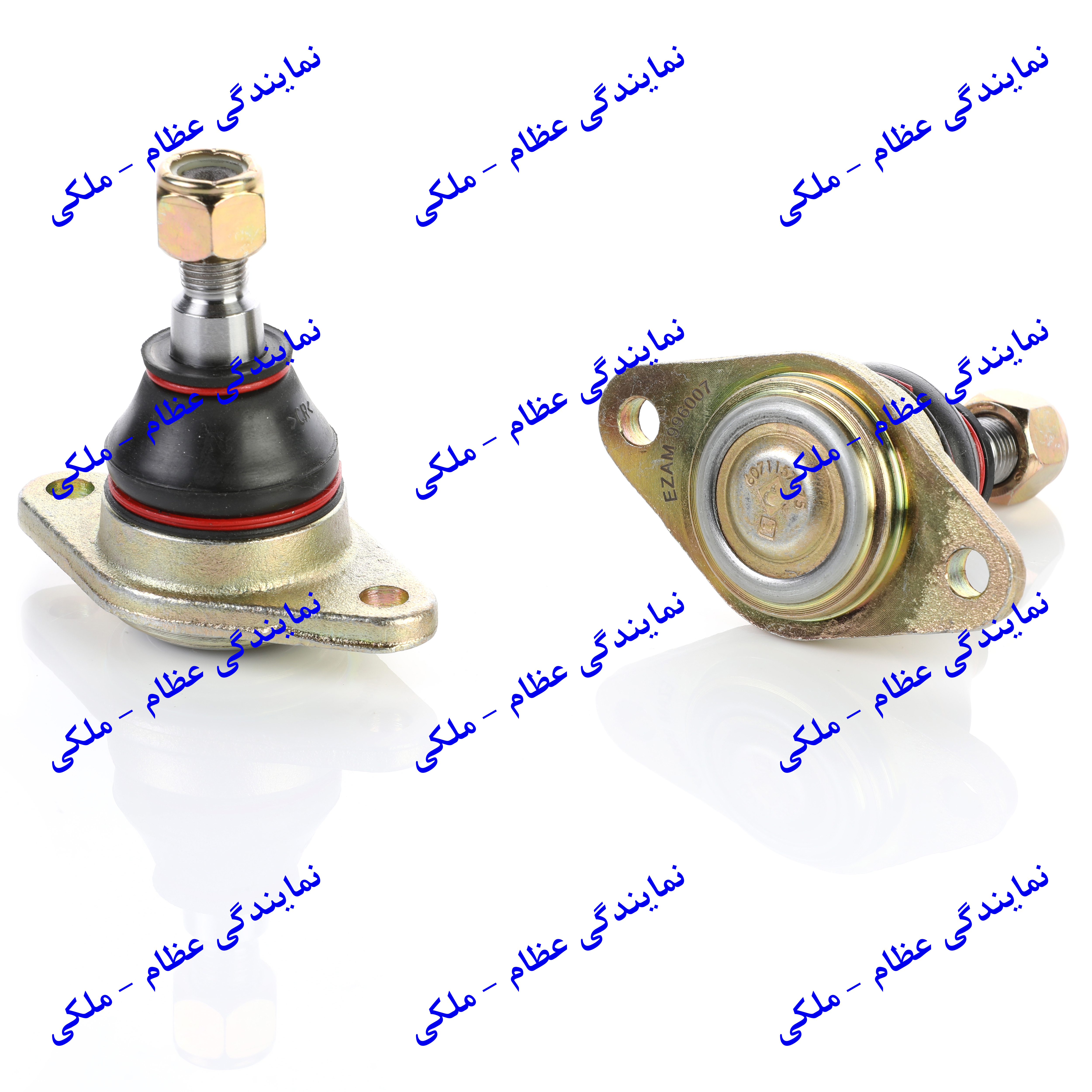 سیبک طبق پیکان عظام