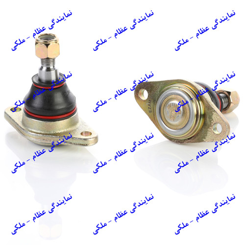 سیبک طبق پیکان عظام
