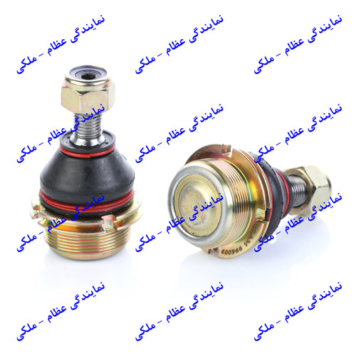 سیبک طبق پژوه 405 عظام