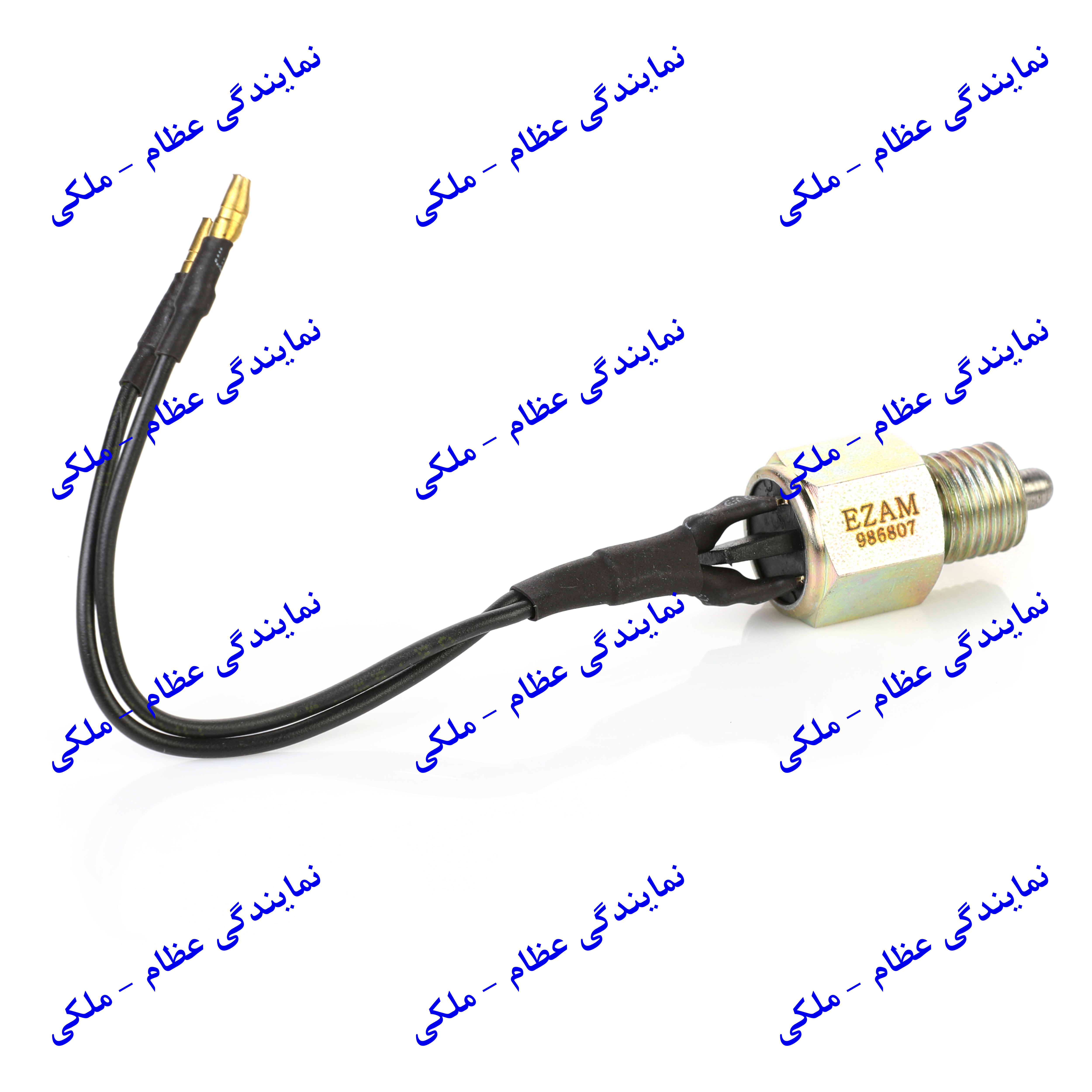 سنسور دور موتور 405 - زیمنس عظام