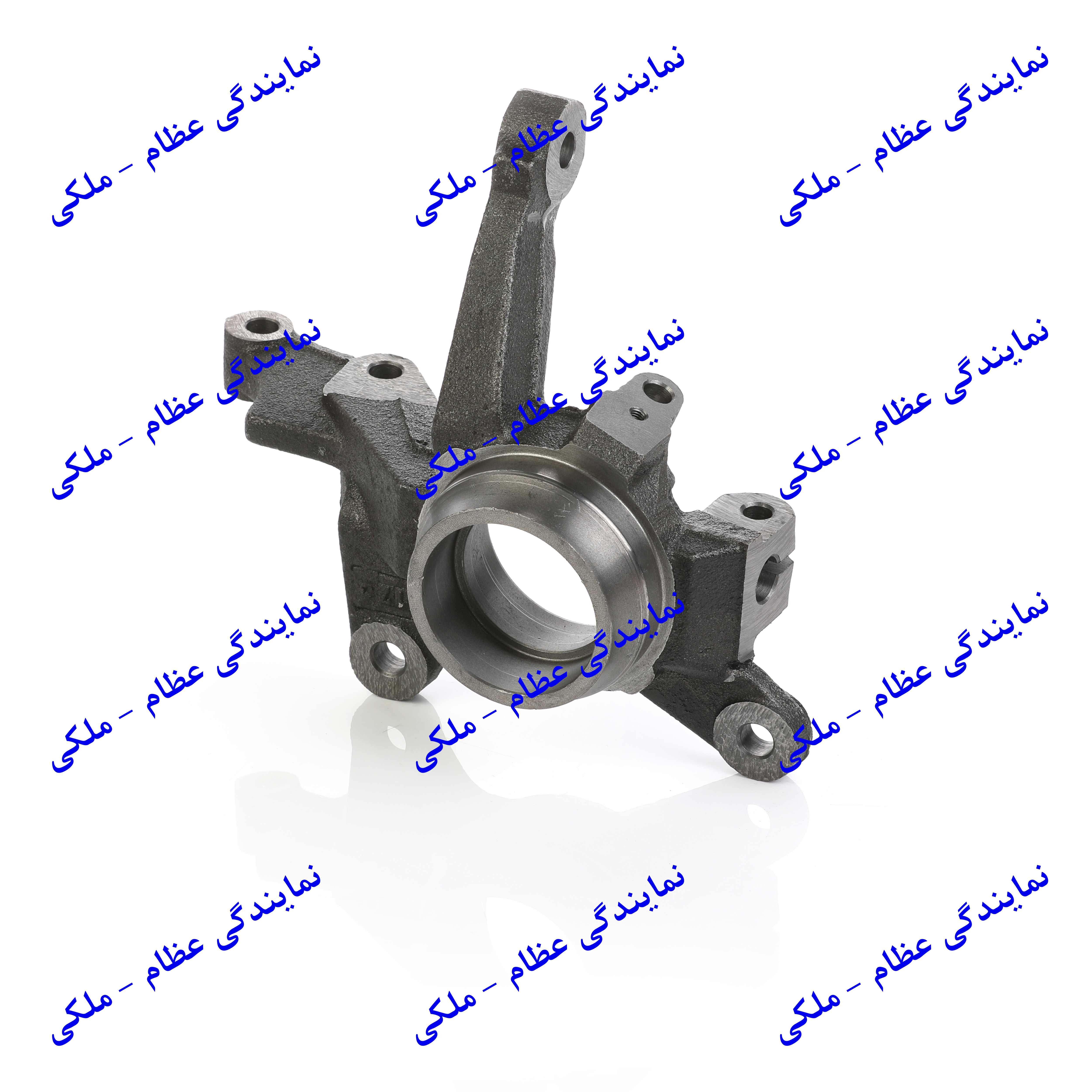 سگدست چپ تیبا طرح قدیم عظام