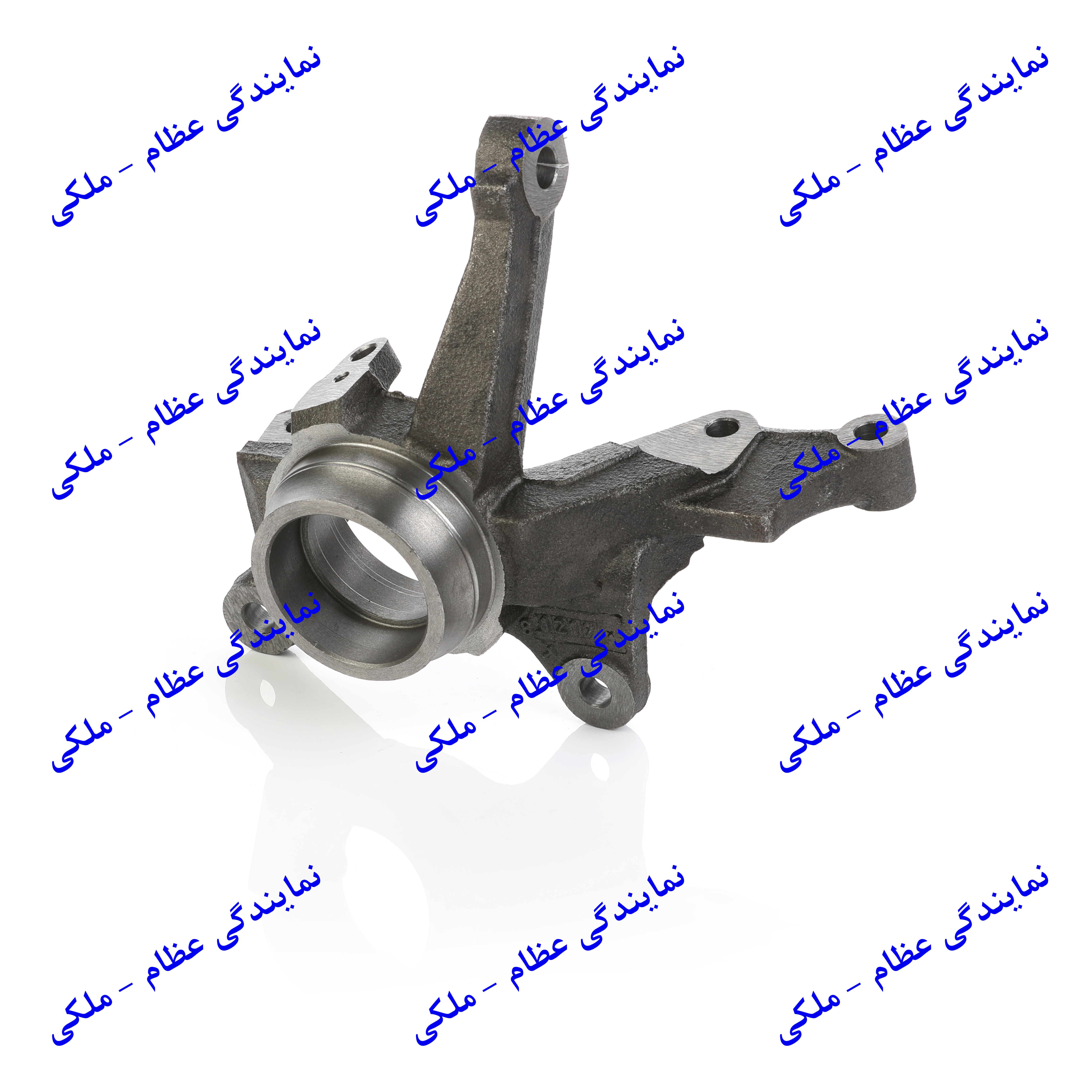 سگدست راست تیبا طرح قدیم عظام