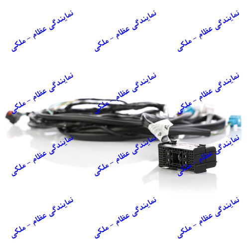دسته سیم چراغ جلو دو ایربگ پارس SSAT XU7 - CEC (YG22241654 - OR) عظام