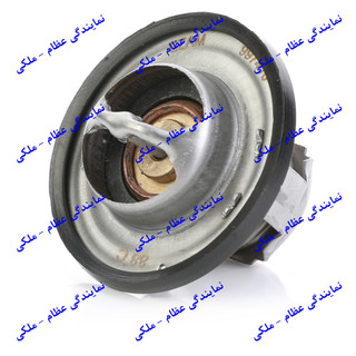 ترموستات EF7 (88 درجه) عظام