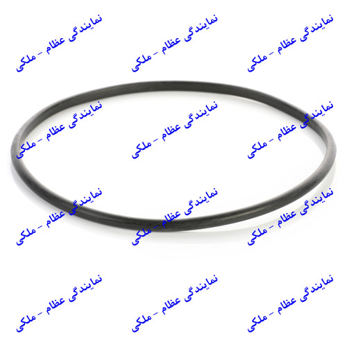 اورینگ باک پژو 405 (صفر درجه) عظام
