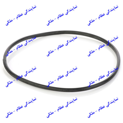 اورینگ باک پژو 206 عظام